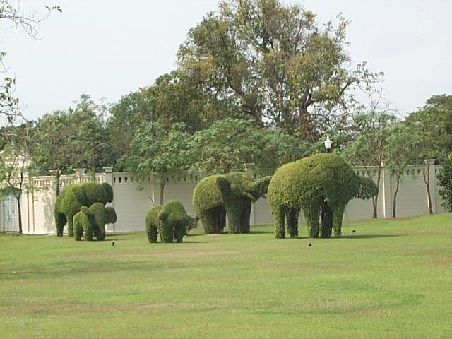 Dans le parc