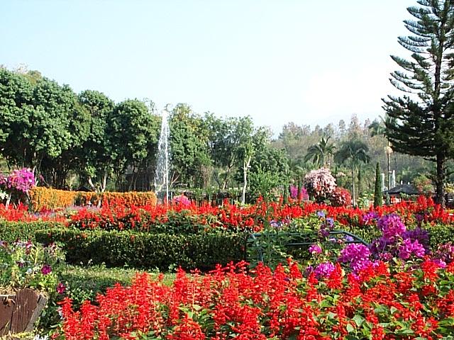 Chieng maï - Parc de Krisadadoï