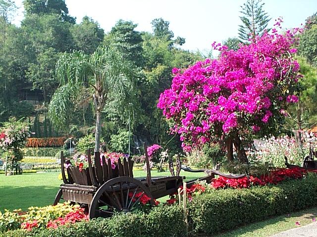 Chieng maï - Parc de Krisadadoï
