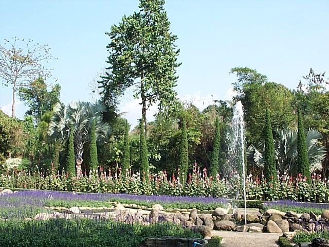Chieng maï - Parc de Krisadadoï