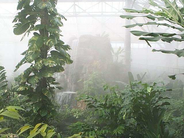 Chieng maï - Jardin botanique de la reine Sirikit