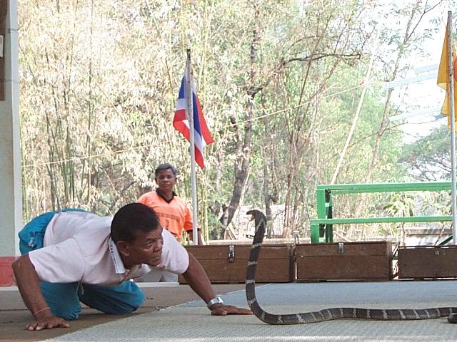 Khon Kaen - Village des serpents
