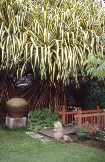 Wang Suan Phakkat - Le jardin