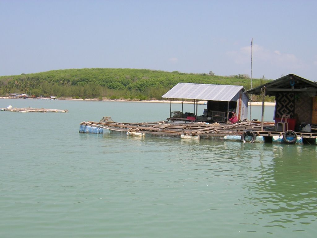 Restaurant flottant sur Sapam Bay